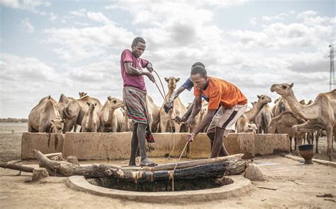 East Africa hunger crisis: Donate now .